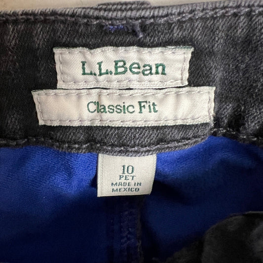 L.L. Bean Insulated Jeans Women's Size 10 P Classic Fit Dark Wash Straight Leg