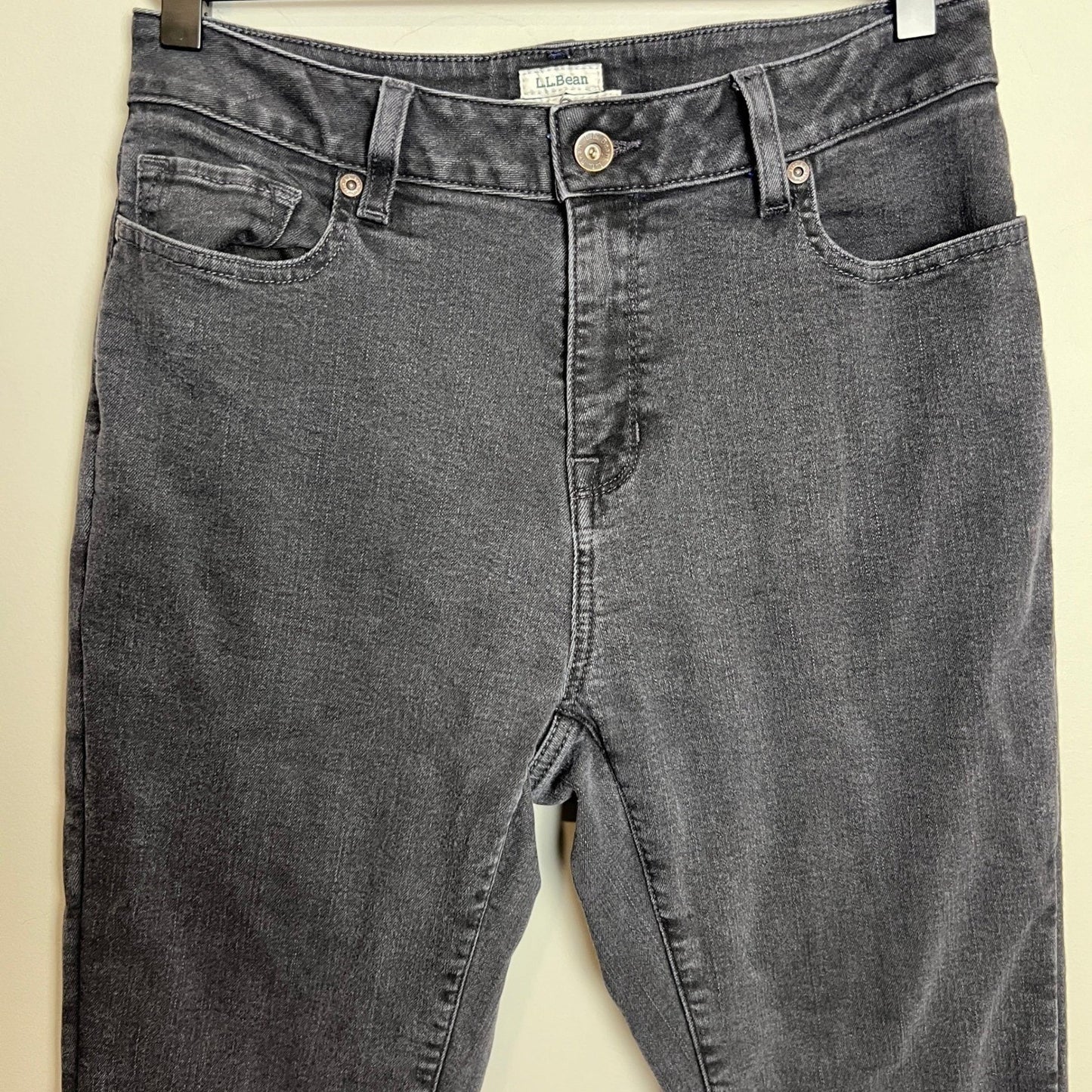 L.L. Bean Insulated Jeans Women's Size 10 P Classic Fit Dark Wash Straight Leg