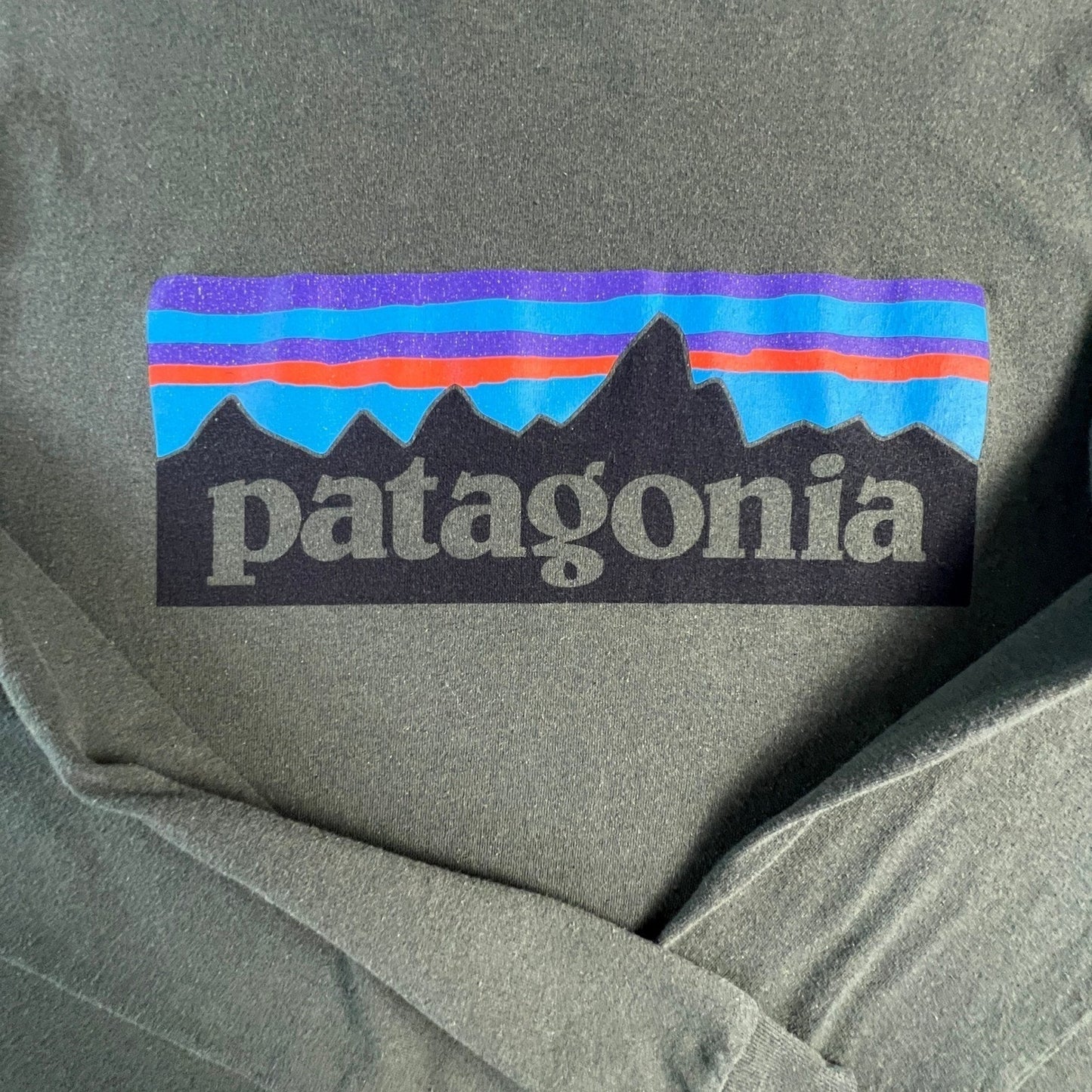Patagonia Long Sleeve Shirt Mens Medium P-6 Logo Responsibili-Tee Green
