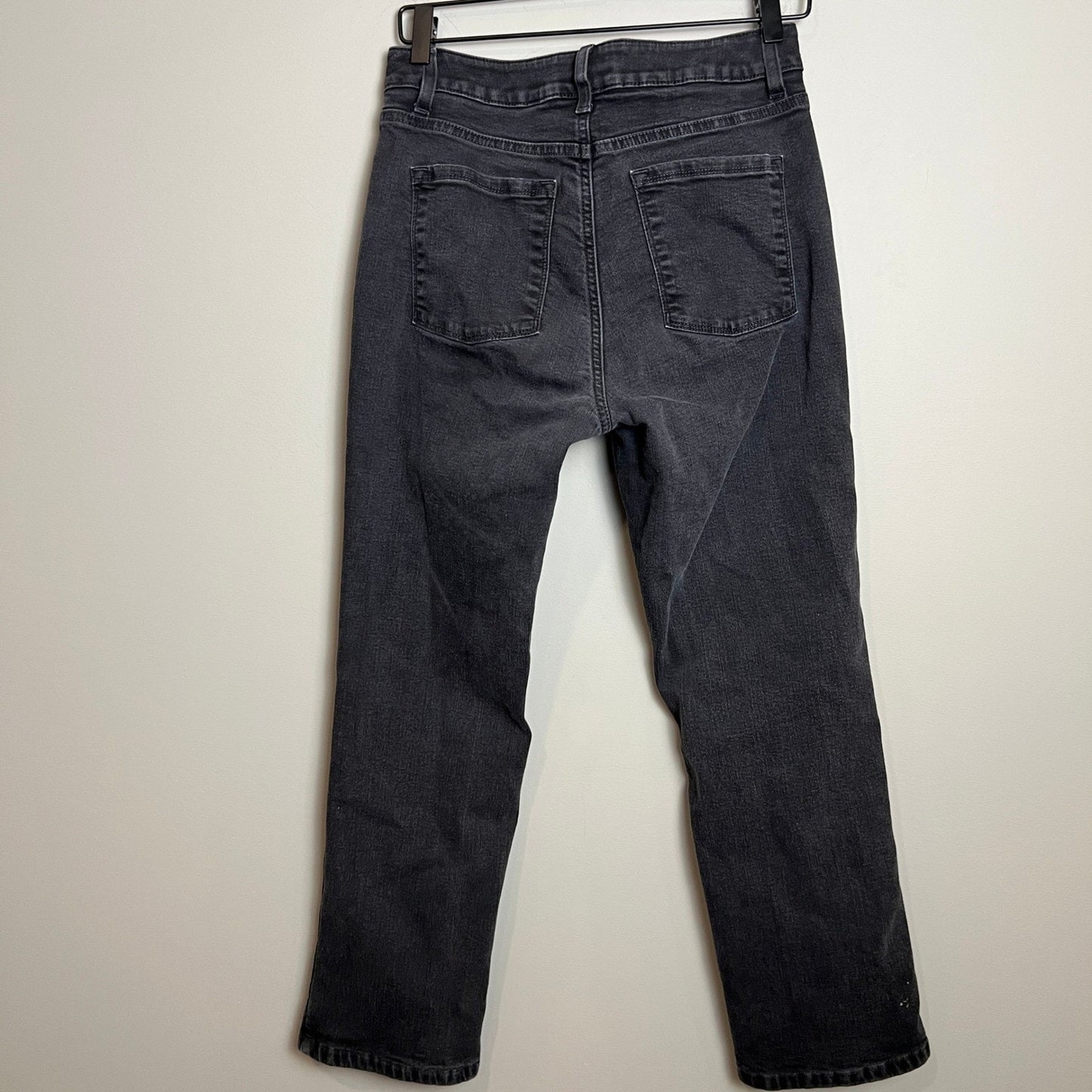 L.L. Bean Insulated Jeans Women's Size 10 P Classic Fit Dark Wash Straight Leg