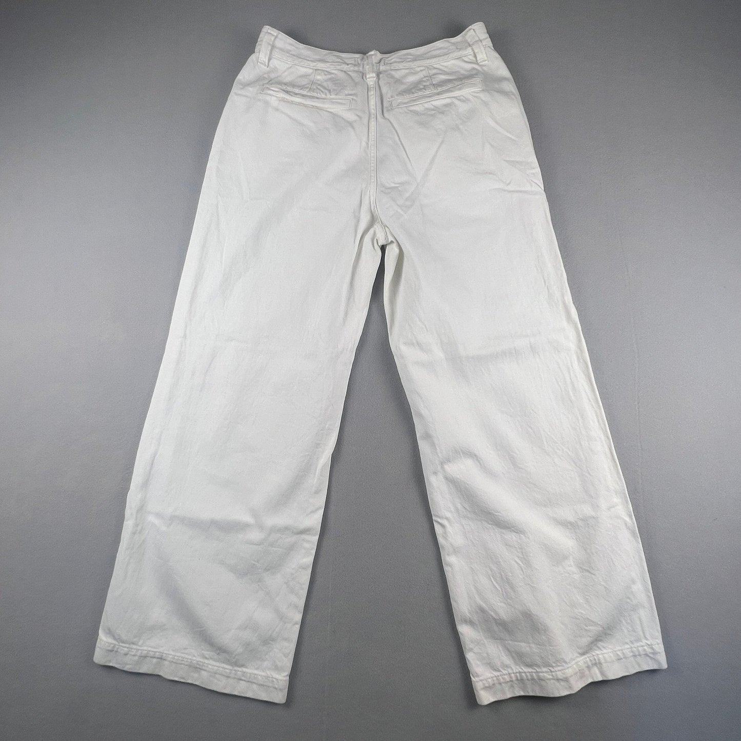 Madewell Harlow Wide-Leg Jean Womens 30 White Pleated High Rise Minimalist Boho