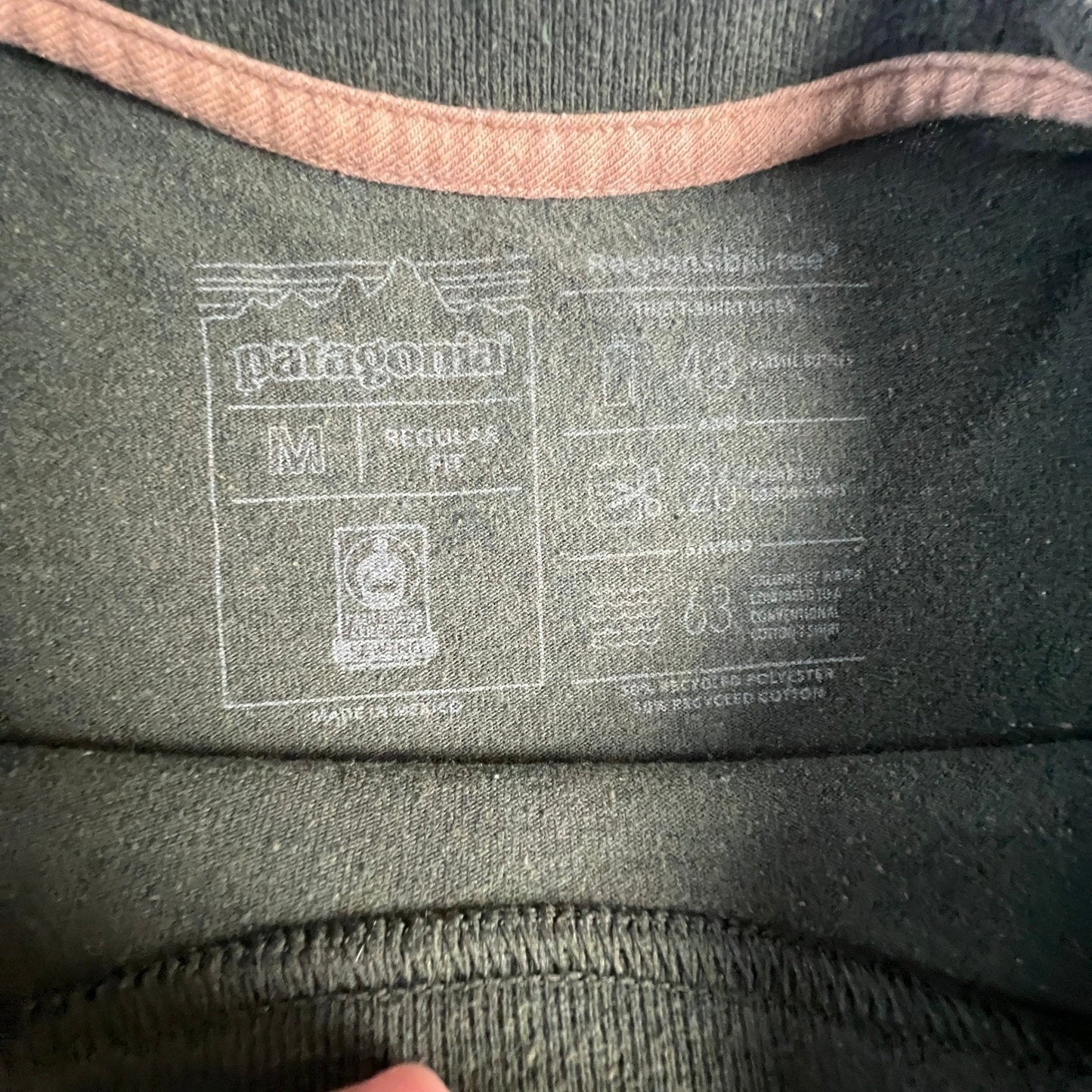 Patagonia Long Sleeve Shirt Mens Medium P-6 Logo Responsibili-Tee Green